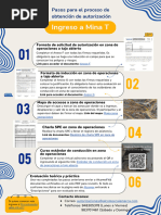 Guia Obtencion AUTORIZ - INGRESO T - Opt