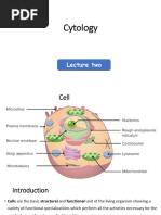 Cytology Fikre