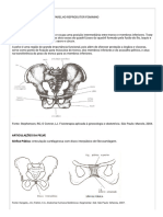 ED Saúde Mulher - CONTEÚDO 2 - ANATOMIA DO APARELHO REPRODUTOR FEMININO