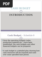 Cash Budgets Lecture Slides Final 2024