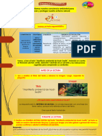 1.°-COMUN.-EdA 2-ACTIV.1