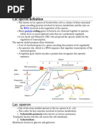 Lac Operon