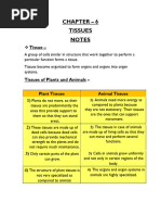 CH 6 Tissues