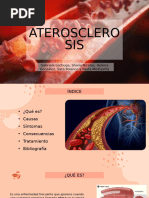 A Tero Sclerosis