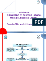 Modulo III Diplomado en Derecho Laboral Fases Del Proceso Laboral 2024