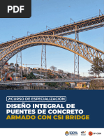 Brochure Puentes Integral Csi