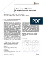 Dynamics of Eucalypt Clones Canopy and B