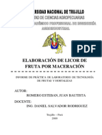 Elaboración de Licor de Fruta Por Maceración