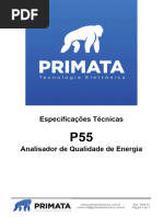 Especificações Técnicas P55 - Analisador de Qualidade de Energia v2024-01