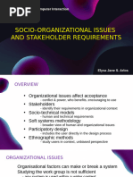 Socio Organizational Issues and Stakeholder Requirements