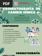 Cromatografía de Cambio Iónico