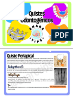 Flashcards Quistes