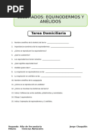 Celomados Equinodermos y Anélidos para Segundo de Secundaria Asignación