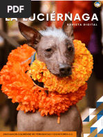 Revista La Luciérnaga - Noviembre 2024 - Acpe