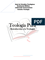 Teologia Pura Guia