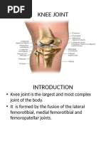 Knee Joint Ug