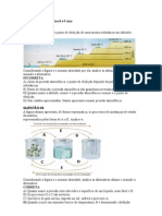 Questões para Exercícios 8 e 9 Ano