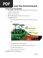 CH 2 Energy and The Environment