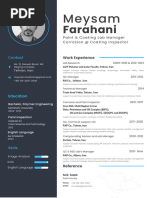 M Farahani CV - n3