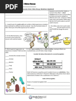 Mutations Updated Recap by Amoeba Sisters