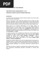 PRÃ - CTICA DE LABORATORIO NÂ° 1 y 2 Cortes A Mano Alzada 2022-2