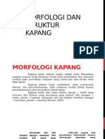 Morfologi Dan Struktur Kapang