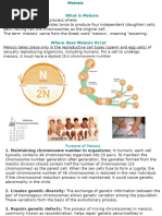 Meiosis Phases After Sexual Reproduction