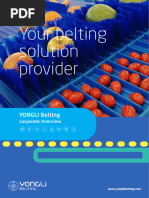 YONGLI Corporate Brochure