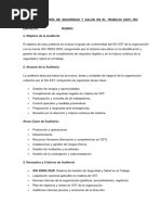 Plan de Auditoría de Seguridad y Salud en El Trabajo