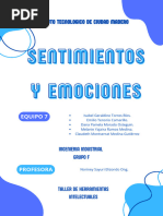 Sentimientos y Emociones - Equipo 7