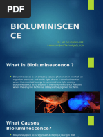 Bioluminescence Final