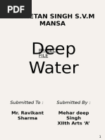 Deep Water Project