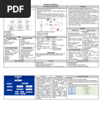 S10 Medicina Ii 2