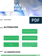 Figuras Retoricas SELE 2025