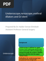 Ureteroscope, Renoscope, Urethral Dilators and DJ Stent