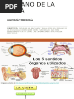 Órgano de La Vista-1