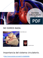 Sistema Circulatorioenviar