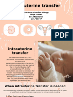 Intrauterine Transfer - 20241021 - 100223 - 0000