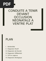 Conduite À Tenir Devant Une Occlusion Néonatale Á Ventre Plat