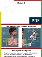 Module 5 - Respiratory System For Biomeds