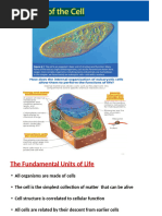 A Tour of The Cell