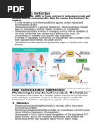 Homeostasis