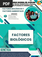 Fil Factores