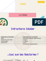 Célula