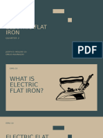 Electronic-Flat-Iron 20231113 170628 0000-2