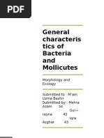 General Characteristics of Bacteria and Mollicutes