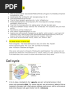 Bio Ultimate Sem 2