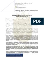 Informe Diagnostico de Lectoescritura