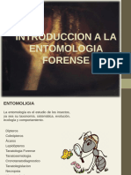 Introduccion A La Entomologia Forense