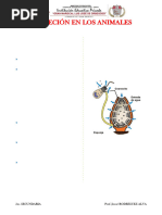 EXCRECIÓN EN LOS ANIMALES - 5to.